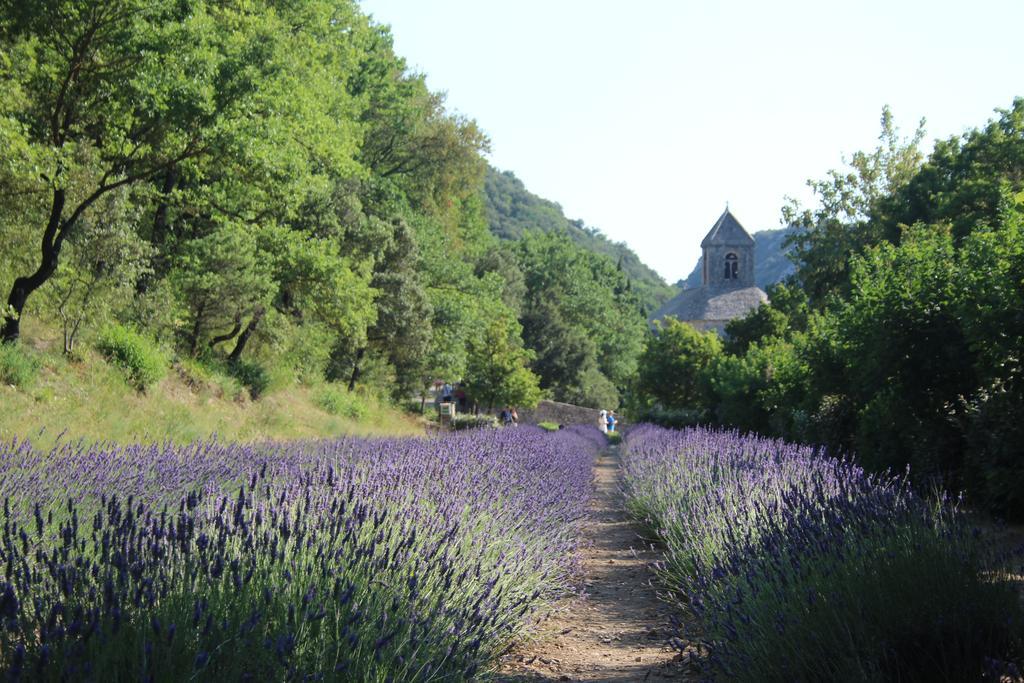 Willa Le Mazet Du Domaine Gordes Zewnętrze zdjęcie